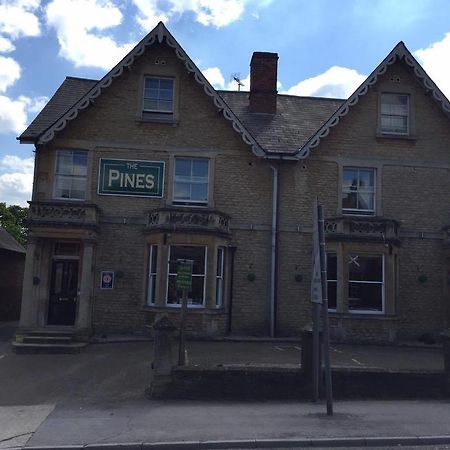 The Pines Guest Accommodation Chippenham  Zewnętrze zdjęcie